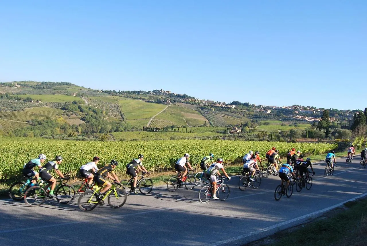 Casa Grazia Apartment Greve in Chianti